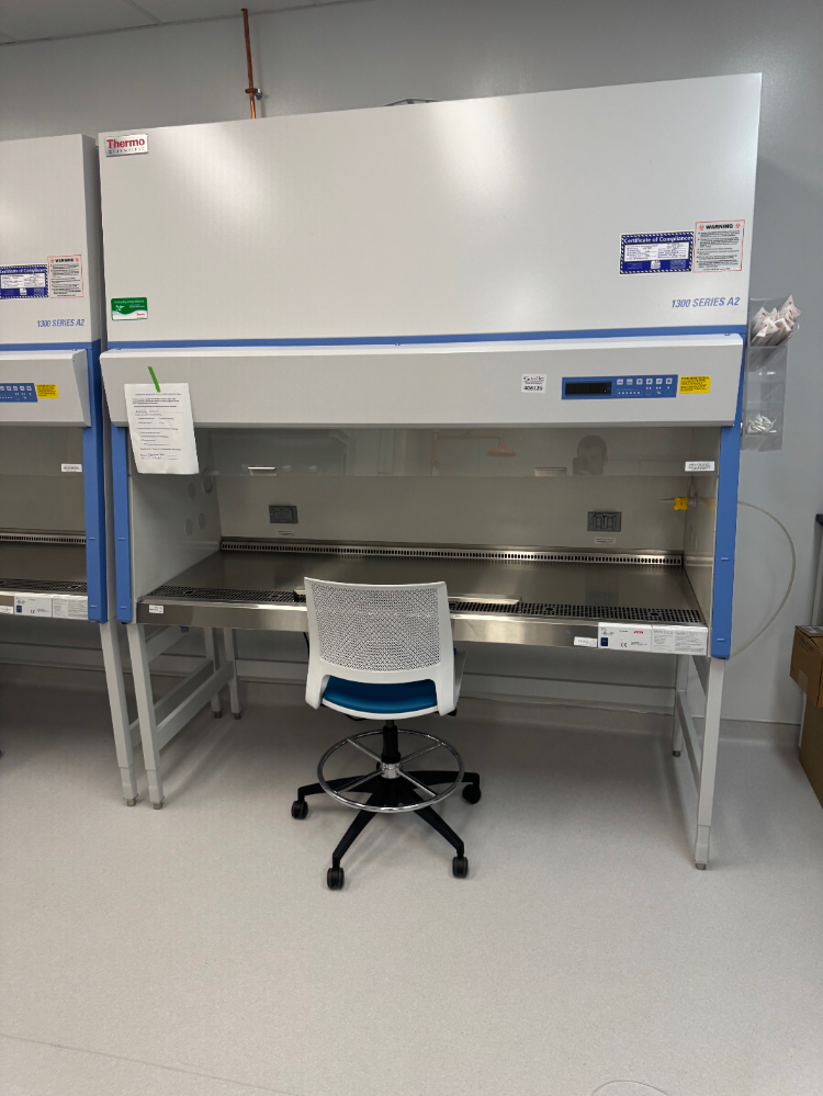 Image of Thermo 1300 Series A2 6' BioSafety Cabinet